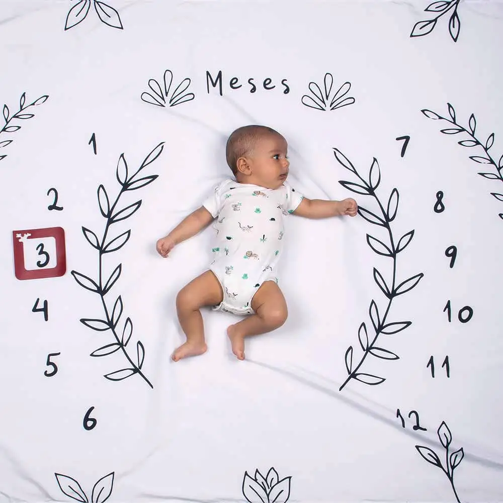 cenario-tapete-mesversario-raminho-lencol-para-bebe-alce