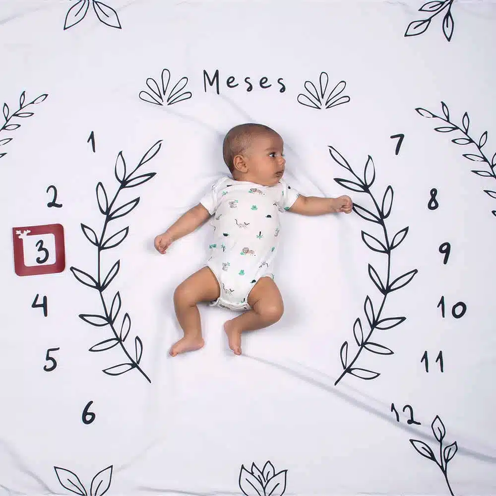 cenario lencol mesversario raminho usealce