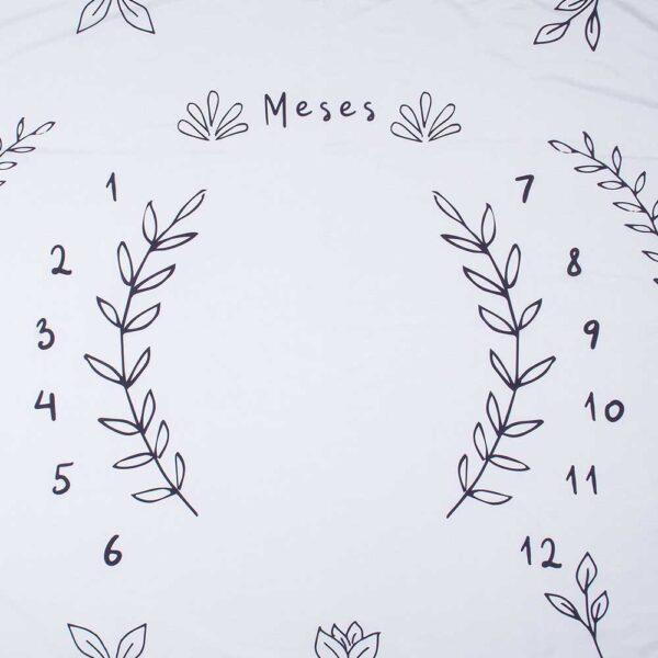 cenario-lencol-mesversario-raminho-usealce