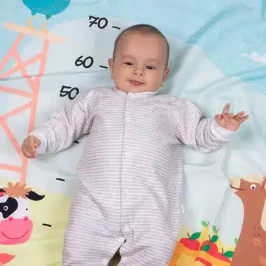 Cenário Mesversário Fazendinha