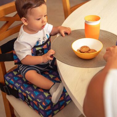 Assento de Alimentação (elevação) e Cinto Espacial